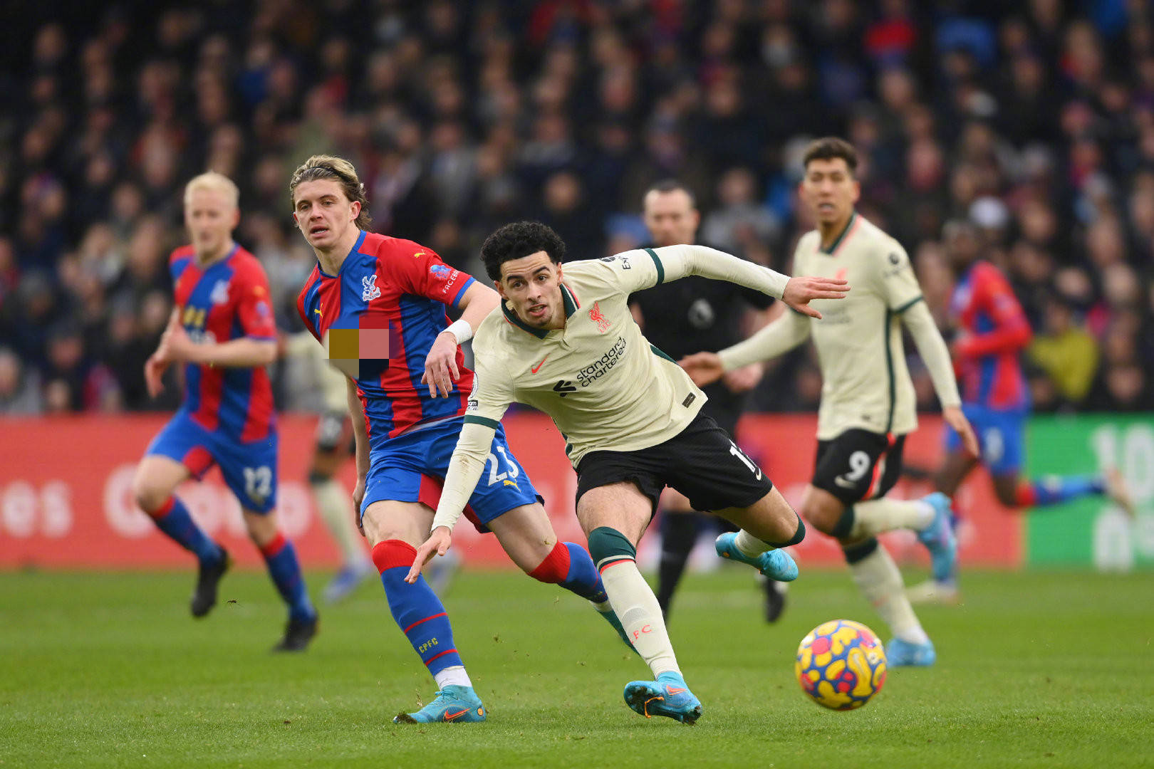 存的合作 存的合作